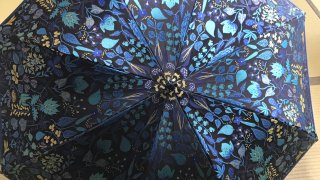 北陸独特の格言？？ "弁当忘れても…"