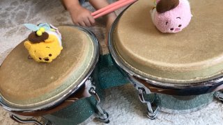 Vocalistは楽器を勉強すべき？