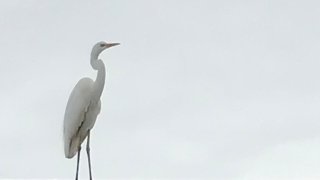 ちょっと撮ってみた