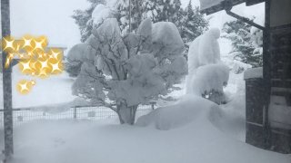 雪かきであらためて思った丹田の重要性